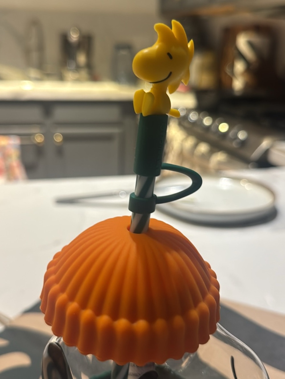 Starbucks/Peanuts Orange-Top Glass Bottle with Green Knit Sleeve and Straw - Picture 3 of 5